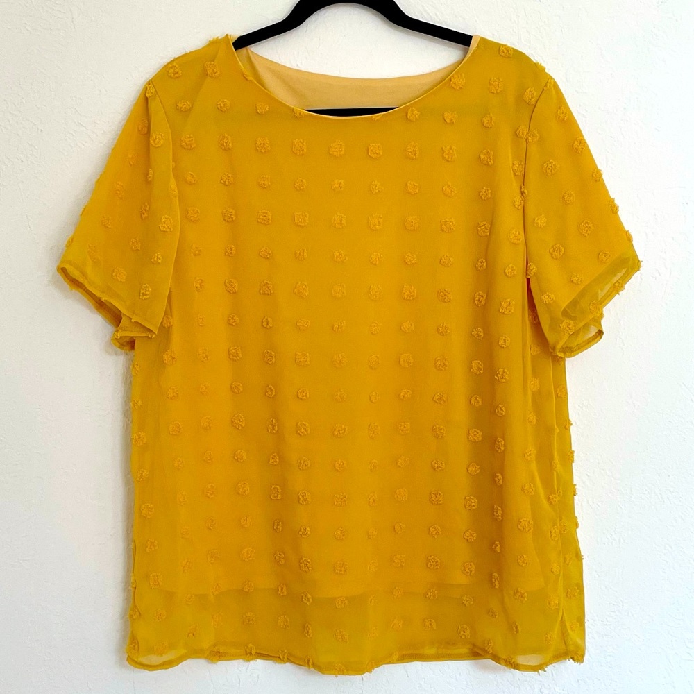Yellow Round Neck Pom Pom Short Sleeve Top